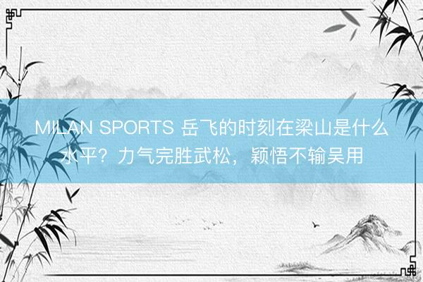 MILAN SPORTS 岳飞的时刻在梁山是什么水平?力气完胜武松,颖悟不输吴用